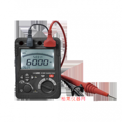 華盛昌 DT-6605專業高壓絕緣電阻測